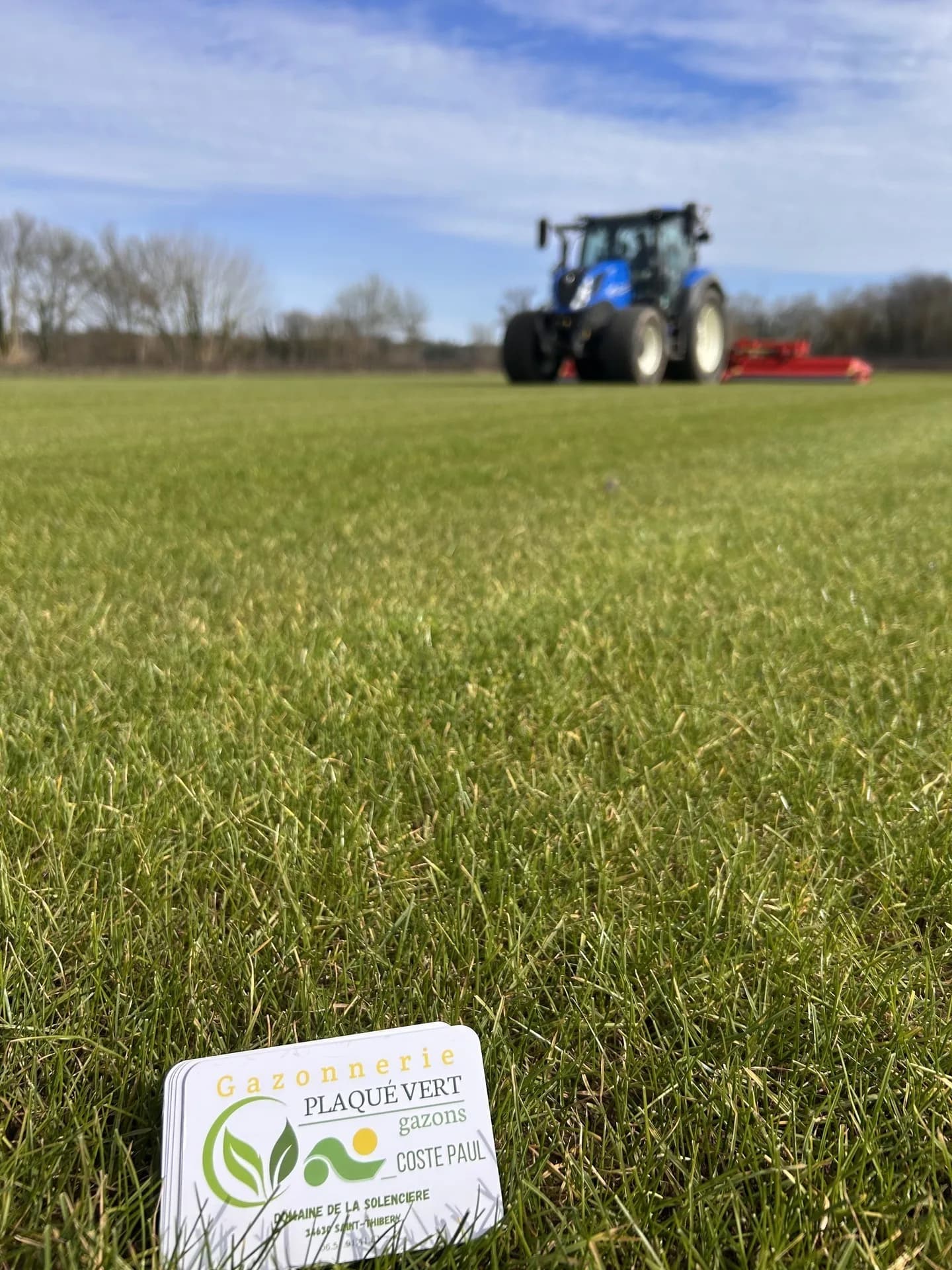 Culture de gazon naturel en plein champ - exploitation agricole Hérault