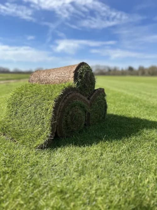 Rouleau gazon naturel de qualité dans l'Hérault