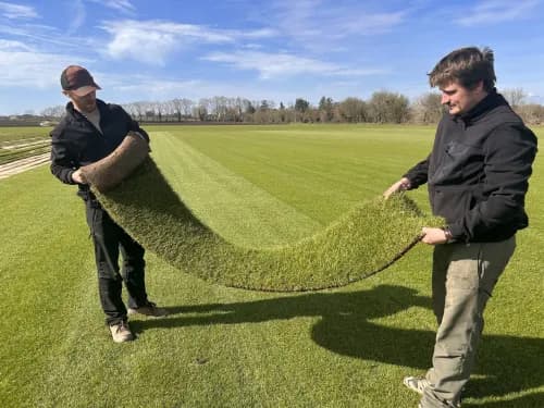 Pose de gazon en rouleau - démonstration par nos équipes à Saint-Thibéry
